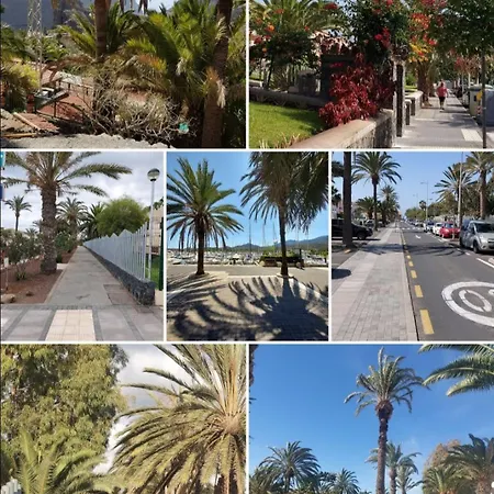 Tagoro Park * 德尔锡伦西奥海岸